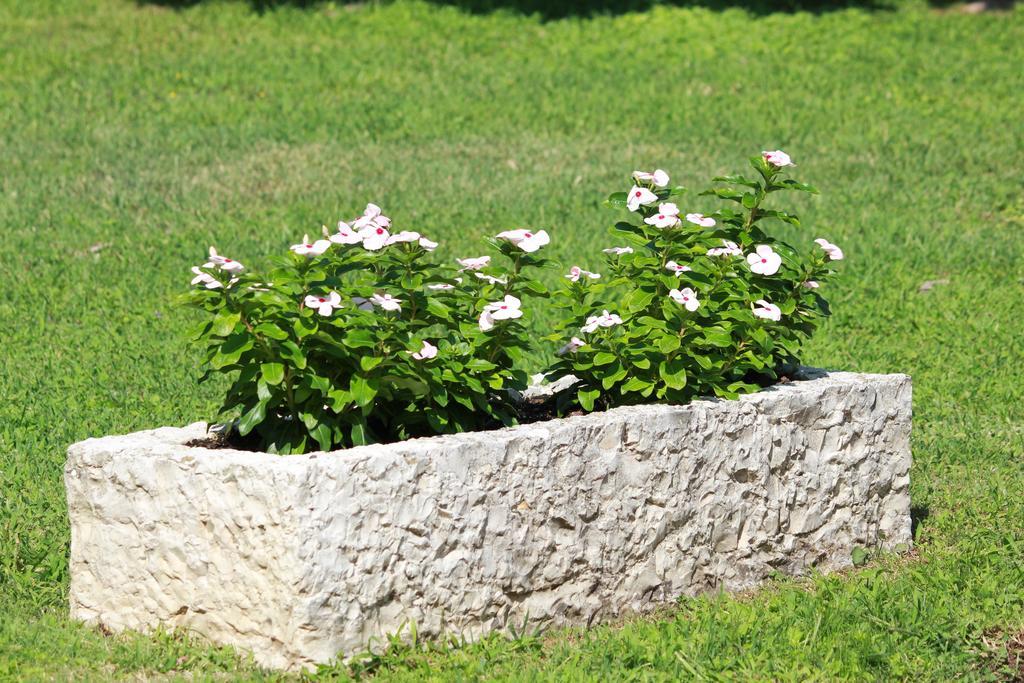 B&B La Grola San Martino Buon Albergo Exterior photo